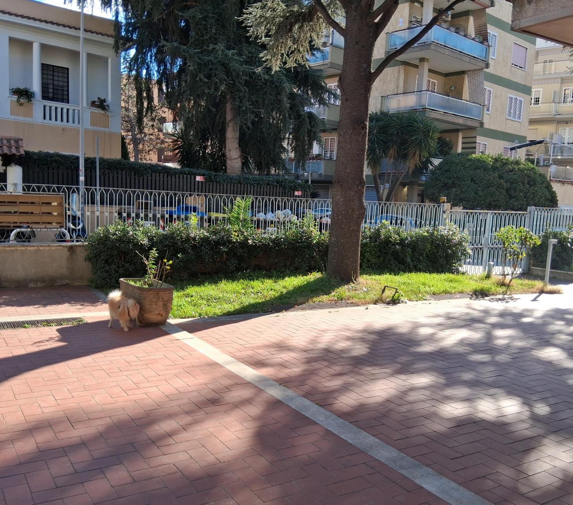 Apartamento Vatican In Roma